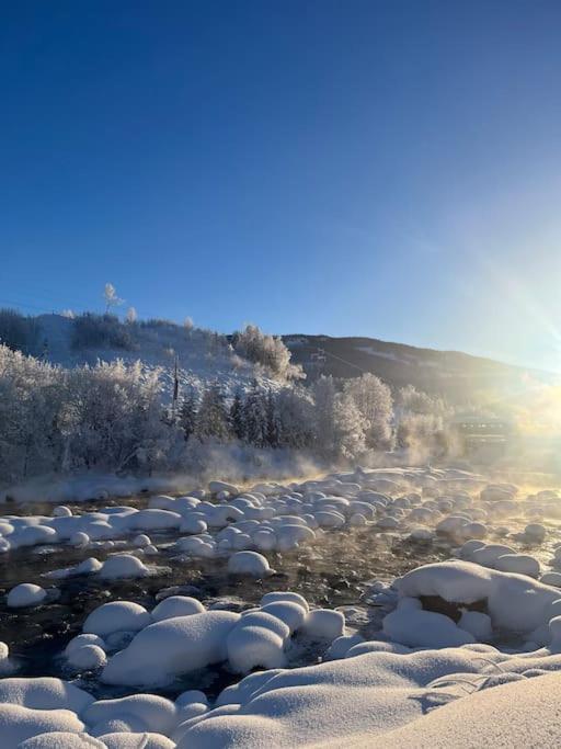 Delikat Hytte Omgitt Av Hallingdals Vakre Fjell 알 외부 사진